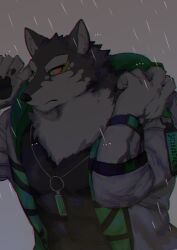 Rule 34 | 1boy, abs, animal ears, bara, black shirt, colored sclera, furry, furry male, green eyes, grey background, highres, holding hood, hood, hooded jacket, jacket, jewelry, live a hero, looking to the side, male focus, monomasa (live a hero), muscular, muscular male, necklace, pectorals, rain, red sclera, sakuhuu, shirt, thick eyebrows, walking, water drop, wolf boy, wolf ears