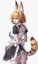 Rule 34 | 1girl, :d, absurdres, animal ear fluff, animal ears, apron, apron lift, ass, back cutout, blonde hair, breasts, clothes lift, clothing cutout, cowboy shot, deku suke, ear piercing, extra ears, fangs, frills, from behind, gloves, hair between eyes, highres, kemono friends, lifting own clothes, looking at viewer, looking back, maid, maid headdress, medium breasts, official alternate costume, open mouth, panties, piercing, puffy short sleeves, puffy sleeves, serval (kemono friends), short hair, short sleeves, simple background, smile, solo, tail, thighhighs, tongue, tongue out, underwear, waist apron, wedgie, white background, white gloves, white panties, white thighhighs, yellow eyes