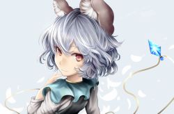 Rule 34 | 1girl, animal ears, closed mouth, grey hair, houdukixx, jewelry, looking at viewer, mouse ears, nazrin, necklace, red eyes, short hair, smile, solo, touhou, upper body