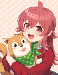 Rule 34 | 1girl, :d, ahoge, animal, commentary, dog, holding, holding animal, idolmaster, idolmaster shiny colors, kamille (vcx68), komiya kaho, long hair, long sleeves, looking at viewer, open mouth, pink background, polka dot, polka dot background, red eyes, red hair, red sweater, smile, solo, sweater, upper body