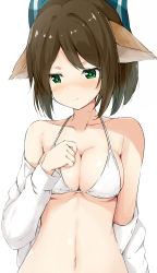 Rule 34 | 1girl, alternate costume, animal ears, arknights, bare shoulders, bikini, blue ribbon, breasts, brown hair, collarbone, commentary request, fox ears, green eyes, hair ribbon, halterneck, hand on own chest, hand up, highres, kusunoki (gwzx5574), long sleeves, medium breasts, navel, off shoulder, open clothes, open shirt, partial commentary, perfumer (arknights), ribbon, shirt, short hair, simple background, solo, stomach, swimsuit, upper body, white background, white bikini, white shirt