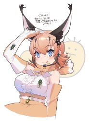 Rule 34 | + +, 1girl, absurdres, animal ears, bare shoulders, belt, blue eyes, bow, bowtie, bug, caracal (kemono friends), cat ears, cat girl, elbow gloves, extra ears, gloves, highres, kemono friends, kemono friends v project, long hair, looking at viewer, microphone, official art, orange hair, shirt, simple background, skirt, sleeveless, sleeveless shirt, solo, tongue, translation request, virtual youtuber, yoshizaki mine