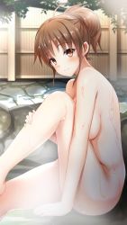 Rule 34 | 1girl, blush, breasts, brown eyes, brown hair, closed mouth, completely nude, doukyuusei, doukyuusei another world, from side, game cg, hair between eyes, medium breasts, nude, official art, onsen, outdoors, ponytail, sideboob, sitting, smile, solo, steam, tanaka misa
