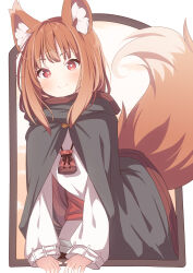 Rule 34 | 1girl, animal ear fluff, animal ears, brown hair, closed mouth, commentary request, daidai ookami, dress, grey cloak, highres, holo, long hair, long sleeves, looking at viewer, puffy long sleeves, puffy sleeves, red eyes, sleeves past wrists, smile, solo, spice and wolf, tail, white dress, wolf ears, wolf girl, wolf tail