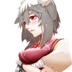 Rule 34 | 1girl, bandages, blush, breasts, bun cover, cosplay, crossed arms, double bun, female focus, hair bun, ibaraki kasen, ibaraki kasen (cosplay), icf, inubashiri momiji, large breasts, mazuka kei, red eyes, short hair, silver hair, simple background, solo, tabard, touhou, upper body, white background