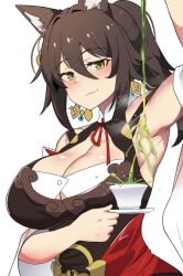 Rule 34 | 1girl, absurdres, animal ears, arm up, armpits, black hair, breasts, chinese clothes, cleavage, collarbone, commentary, cup, detached sleeves, earrings, english commentary, eyeshadow, fox ears, fox girl, green eyes, green tea, hair between eyes, head tilt, highres, hinghoi, holding, holding plate, honkai: star rail, honkai (series), jewelry, large breasts, long hair, long sleeves, looking at viewer, makeup, plate, ponytail, pouring, pouring onto self, red eyeshadow, sidelocks, simple background, smile, solo, tea, teacup, tingyun (honkai: star rail), white background, wide sleeves