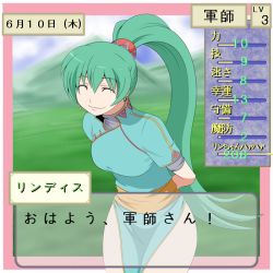 Rule 34 | 1girl, bad id, bad pixiv id, earrings, closed eyes, fake screenshot, female focus, fire emblem, fire emblem: the blazing blade, green hair, high ponytail, jewelry, kara age, long hair, lyn (fire emblem), nintendo, partially translated, ponytail, side slit, smile, solo, stats, translation request