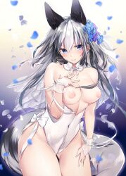 Rule 34 | 1girl, animal ears, bare shoulders, blue eyes, blush, breasts, closed mouth, commentary request, covered navel, cowboy shot, falling petals, flower, gradient background, grey hair, hair flower, hair ornament, hand on own chest, highleg, highleg leotard, highres, leotard, long hair, looking at viewer, medium breasts, nipples, original, petals, solo, tail, thighs, white leotard, yukibuster z