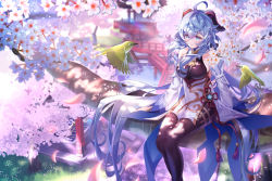 Rule 34 | 1girl, absurdres, ahoge, bare shoulders, bell, bird, black legwear, blue hair, blush, breasts, chinese knot, detached sleeves, flower, flower knot, ganyu (genshin impact), genshin impact, gold trim, highres, horns, in tree, ktm, long hair, looking at another, looking to the side, medium breasts, neck bell, outdoors, petals, pink flower, purple eyes, red rope, rope, sidelocks, sitting, sitting in tree, solo, tassel, thighlet, tree, very long hair, vision (genshin impact), white flower, white sleeves