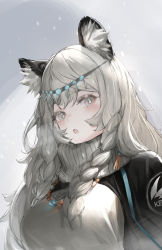 Rule 34 | 1girl, animal ears, arknights, bead necklace, beads, black cloak, blush, braid, breasts, breath, circlet, cloak, commentary, earrings, eyelashes, grey background, grey eyes, grey scarf, grey sweater, highres, jewelry, large breasts, leopard ears, leopard girl, long hair, looking at viewer, necklace, open mouth, pramanix (arknights), scarf, side braids, silver hair, simple background, snow, snowing, solo, sweater, tassel, tassel earrings, twin braids, upper body, yakushi9kv