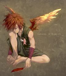 Rule 34 | 00s, 1boy, apollo (aquarion), aquarion (series), barefoot, closed mouth, copyright name, closed eyes, feathers, full body, knee up, male focus, mosako, orange hair, shirt, shorts, simple background, sitting, sleeveless, sleeveless shirt, solo, sousei no aquarion, wings