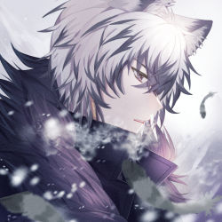 Rule 34 | 1boy, absurdres, animal ears, arknights, breath, close-up, coat, feathers, fur coat, highres, idass (idass16), open mouth, portrait, profile, short hair, silverash (arknights), solo, teeth, white eyes, white hair, wolf boy, wolf ears
