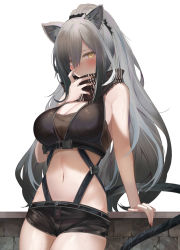 Rule 34 | 1girl, animal ears, arknights, arm support, bare arms, bare shoulders, black shirt, black shorts, breasts, cat ears, cat girl, cat tail, cleavage, cowboy shot, crop top, earrings, grey hair, headset, highres, jewelry, large breasts, long hair, looking at viewer, micro shorts, midriff, multiple earrings, multiple straps, navel, ponytail, ru zhai, scarf, schwarz (arknights), shirt, shorts, sleeveless, sleeveless shirt, solo, stomach, sweat, tail, thighs, very long hair, wet, yellow eyes