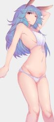 Rule 34 | 10s, 1girl, absurdres, animal ears, arm up, bikini, blue hair, erune, ferry (granblue fantasy), front-tie top, granblue fantasy, groin, highres, kameponde, long hair, looking at viewer, navel, one eye closed, rabbit ears, red eyes, simple background, solo, swimsuit, white bikini