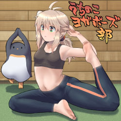 Rule 34 | 1girl, 1other, ahoge, armpits, arms behind head, arms up, barefoot, bird, black pants, black sports bra, blonde hair, breasts, feet, flexible, green eyes, highres, hijikata-san (m.m), koshirae tsurugi (m.m), legs, long hair, m.m, navel, original, own hands together, pants, penguin, ponytail, sitting, small breasts, soles, sports bra, stretching, thighs, toes, track pants