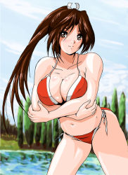 Rule 34 | bikini, breasts, brown eyes, brown hair, large breasts, long hair, ponytail, shiranui mai, snk, swimsuit, the king of fighters