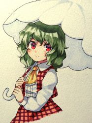 Rule 34 | 1girl, ascot, bad id, bad twitter id, blush, checkered clothes, checkered skirt, checkered vest, closed mouth, commentary, green eyes, green hair, highres, holding, holding umbrella, kazami yuuka, long sleeves, looking at viewer, marker (medium), red eyes, red skirt, red vest, sasa kichi, skirt, smile, solo, touhou, traditional media, umbrella, upper body, vest, wavy hair, yellow ascot