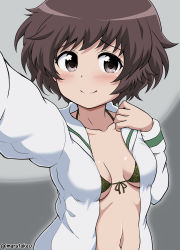 Rule 34 | 10s, 1girl, akiyama yukari, artist name, bra, breasts, brown eyes, brown hair, camouflage, camouflage bra, closed mouth, collarbone, eyebrows, eyelashes, foreshortening, front-hook bra, girls und panzer, green ribbon, hand on own chest, long sleeves, looking at viewer, marutakeo, ooarai school uniform, open clothes, open shirt, outstretched arm, reaching, reaching towards viewer, ribbon, school uniform, selfie, shirt, simple background, small breasts, smile, solo, tareme, two-tone background, underwear, upper body, white shirt, wing collar