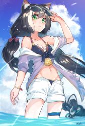 Rule 34 | 1girl, animal ear fluff, animal ears, bare shoulders, bikini, black hair, blush, breasts, cat ears, cat tail, cloud, cloudy sky, commentary request, cowboy shot, day, from below, frown, green eyes, groin, halterneck, hand on own head, highres, karyl (princess connect!), karyl (summer) (princess connect!), lens flare, long hair, looking at viewer, looking down, multicolored hair, navel, open pants, outdoors, pants, princess connect!, removing eyewear, sho bu 1116, short shorts, shorts, sky, small breasts, solo, standing, streaked hair, sunglasses, swimsuit, tail, thigh strap, twintails, very long hair, wading, white hair