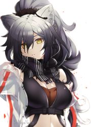 Rule 34 | 1girl, animal ear fluff, animal ears, arknights, bare shoulders, black scarf, breasts, cat ears, cleavage, commentary, crop top, english commentary, hair over one eye, highres, jacket, long hair, looking at viewer, medium breasts, midriff, off shoulder, open clothes, open jacket, parted lips, scarf, schwarz (arknights), silver hair, simple background, solo, sonyaneko, upper body, white background, white jacket, yellow eyes