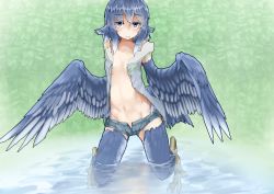 Rule 34 | animal ears, bad id, bad pixiv id, bird ears, bird legs, bird tail, bird wings, blue eyes, blue feathers, blue hair, blue wings, blush, digitigrade, feathered wings, feathers, harpy, highres, jacket, monster girl, open clothes, open fly, open jacket, open mouth, original, pants, partially submerged, rnd.jpg (artist), short shorts, shorts, tail, talons, water, winged arms, wings