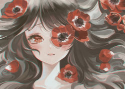 Rule 34 | 1girl, absurdres, anemone (flower), black hair, blush, collarbone, commentary request, eyelashes, flower, hair over one eye, hair spread out, highres, lips, long hair, looking at viewer, marutani, one eye covered, original, parted lips, portrait, red eyes, red flower, solo, swept bangs
