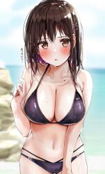 Rule 34 | 1girl, bikini, blush, breasts, brown eyes, brown hair, cleavage, collarbone, colored inner hair, commentary request, cowboy shot, hair ornament, hairclip, highres, large breasts, long hair, looking at viewer, mole, mole on collarbone, multicolored hair, navel, ocean, open mouth, original, outdoors, revision, rouka (akatyann), solo, swimsuit, translated, water, wet