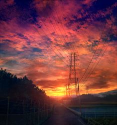 Rule 34 | blue sky, cloud, cloudy sky, fence, forest, gradient sky, mks, nature, no humans, original, outdoors, power lines, railing, red sky, rice paddy, road, scenery, sky, sunlight, sunset, transmission tower, twilight