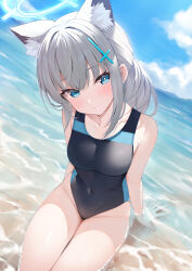 Rule 34 | 1girl, absurdres, animal ear fluff, animal ears, bare arms, bare legs, bare shoulders, beach, black one-piece swimsuit, blue archive, blue eyes, blue halo, blush, breasts, closed mouth, competition swimsuit, covered navel, cross hair ornament, day, extra ears, grey hair, groin, hair ornament, halo, highres, looking at viewer, medium breasts, medium hair, mismatched pupils, ocean, official alternate costume, one-piece swimsuit, outdoors, rei (ilust9999), shiroko (blue archive), shiroko (swimsuit) (blue archive), sitting, solo, swimsuit, wolf ears