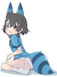 Rule 34 | 10s, 1girl, animal ears, artist request, ass, black eyes, black hair, blush, collar, highres, kaban (kemono friends), kemono friends, kemonomimi mode, kneeling, looking at viewer, lucky beast (kemono friends), no pants, open mouth, panties, shirt, short hair, simple background, sitting, socks, solo, striped tail, sweat, t-shirt, tail, underwear