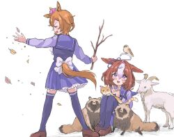 Rule 34 | 2girls, :d, ahoge, animal, animal ears, bird, blue shirt, blue skirt, blue theme, blush, bow, branch, brown footwear, brown hair, cat, clapping, closed eyes, clothing cutout, commentary request, crown, falling leaves, goat, hairband, hands up, hane (yndyug2), highres, holding, holding branch, horse ears, horse girl, horse tail, knees up, leaf, long sleeves, meisho doto (umamusume), mini crown, multicolored hair, multiple girls, open mouth, pink hairband, pleated skirt, profile, purple eyes, raccoon, shadow, shirt, shoes, simple background, sitting, skirt, smile, standing, t.m. opera o (umamusume), tail, tail through clothes, two-tone hair, umamusume, white background, white bow, white hair