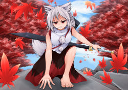 Rule 34 | 1girl, animal ears, autumn leaves, bare shoulders, barefoot, highres, inubashiri momiji, leaf, looking at viewer, pom pom (clothes), red eyes, short hair, shou (ahiru shinobu), silver hair, solo, sword, tail, touhou, weapon, weapon bag, wolf ears, wolf tail