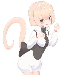 Rule 34 | 10s, 1girl, anteater ears, anteater tail, bad id, bad pixiv id, blonde hair, blush, bow, bowtie, brown eyes, fur trim, hairband, kemono friends, multicolored hair, open mouth, pink hair, silky anteater (kemono friends), simple background, solo, two-tone hair, upper body, white background, yuukagen (poipoipopoino)