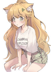 Rule 34 | 1girl, aisha (vtuber), animal ear fluff, animal ears, beige shirt, blush, breasts, english text, green eyes, indie virtual youtuber, leaning forward, long hair, looking to the side, medium breasts, nakatokung, short shorts, shorts, sitting, solo, triangle hair ornament, very long hair, virtual youtuber, white background