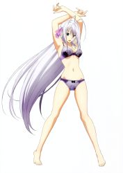 Rule 34 | 10s, 1girl, absurdres, armor, barefoot, blush, covered erect nipples, feet, high school dxd, highres, long hair, official art, panties, purple hair, rossweisse, solo, underwear, very long hair