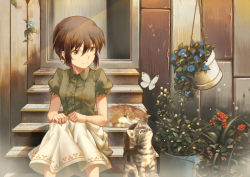 Rule 34 | 00s, 1girl, animal, blue flower, brown hair, bug, butterfly, cat, cheese kang, closed mouth, door, dress shirt, eyebrows, fence, flower, frilled sleeves, frills, green eyes, green shirt, hair between eyes, hands on own knees, insect, lens flare, mikamo chizuko, morning glory, nijuu-mensou no musume, outdoors, plant, potted plant, puffy short sleeves, puffy sleeves, red flower, red rose, rose, shirt, short hair, short sleeves, sidelocks, sitting, sitting on stairs, skirt, smile, solo, stairs, vines, white skirt, wooden wall, yellow flower, yellow rose