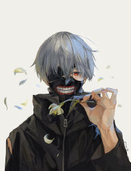Rule 34 | 1boy, absurdres, artist name, beige background, black jacket, black nails, commentary request, eyepatch, flower, grey hair, hand up, highres, holding, holding flower, jacket, kaneki ken, looking at viewer, male focus, mask, mouth mask, nail polish, null (skev7724), petals, red eyes, short hair, solo, tokyo ghoul, zipper pull tab