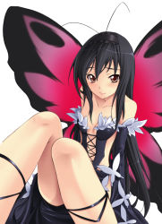 Rule 34 | 10s, 1girl, accel world, antenna hair, bare shoulders, black hair, breasts, brown eyes, butterfly wings, cleavage, dress, elbow gloves, frills, gloves, headband, hozumi takashi, insect wings, kuroyukihime, long hair, small breasts, solo, wings