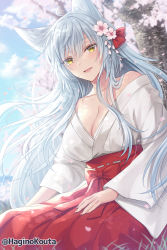 Rule 34 | 1girl, :d, animal ear fluff, animal ears, artist name, blue hair, blurry, blurry background, breasts, cherry blossoms, cleavage, collarbone, commentary, commission, flower, grass, hagino kouta, hair flower, hair ornament, hair ribbon, hand on own thigh, highres, japanese clothes, kimono, light blue hair, long bangs, long hair, long sleeves, looking at viewer, off shoulder, open mouth, original, outdoors, petals, ribbon, sitting, skeb commission, sky, smile, solo, white sleeves, wide sleeves, yellow eyes