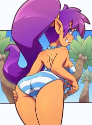 Rule 34 | 1girl, absurdres, ass, ball, bare shoulders, bikini, blue eyes, breasts, dark-skinned female, dark skin, earrings, from behind, hair tubes, high ponytail, highres, jewelry, large breasts, long hair, looking back, pointy ears, purple hair, shantae, shantae (series), shiny skin, smile, solo, standing, swimsuit, the other half, thighs, tiara, very long hair