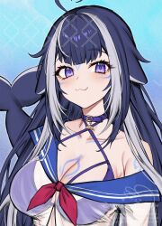 Rule 34 | 1girl, :3, ahoge, animal ears, bikini, black hair, blue background, blue bikini, blue sailor collar, blush, body markings, breasts, cleavage, collarbone, commentary, emu (confisery), english commentary, facial mark, fang, halterneck, highres, indie virtual youtuber, large breasts, long hair, looking at viewer, multicolored hair, purple eyes, sailor collar, school uniform, see-through, see-through shirt, serafuku, shylily, shylily (1st costume), solo, streaked hair, swimsuit, upper body, virtual youtuber, white hair