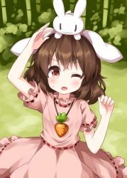 Rule 34 | 1girl, :3, ;o, animal, animal ears, animal on head, bamboo, bamboo forest, brown hair, carrot necklace, cowboy shot, dress, floppy ears, forest, highres, inaba mob (touhou), inaba tewi, jewelry, looking up, nature, necklace, on head, one eye closed, open mouth, outdoors, pink dress, rabbit, rabbit ears, red eyes, ruu (tksymkw), short hair, short sleeves, standing, sweatdrop, touhou, v-shaped eyebrows