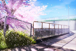 Rule 34 | blue sky, cherry blossoms, cloud, commentary request, day, falling petals, fence, grass, hankachi (okayama012), highres, no humans, original, petals, plant, power lines, scenery, shade, sky, spring (season), sunlight, tree, utility pole