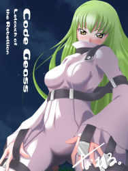 Rule 34 | 00s, 1girl, bodysuit, breasts, c.c., code geass, copyright name, green hair, outdoors, sky, solo, straitjacket