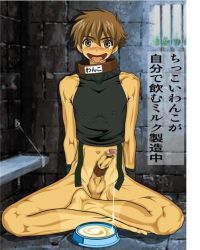 Rule 34 | 1boy, blush, bottomless, censored, collar, cum, ejaculation, erection, foreskin, fucked silly, gouryu, handsfree ejaculation, male focus, muscular, penis, prison, slave, solo, tan, tanline, tsubasa chronicle, xiaolang