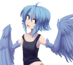 Rule 34 | 10s, 1girl, ahoge, blue hair, blue wings, feathered wings, flat chest, harpy, iwbitu, monster girl, monster musume no iru nichijou, open mouth, papi (monster musume), simple background, solo, white background, winged arms, wings, yellow eyes