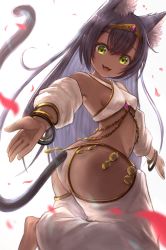 Rule 34 | 1girl, :d, animal ears, black hair, bracelet, breasts, cat ears, cat tail, chain, chain, commentary request, dancer, dark skin, dark-skinned female, fang, gold, gold chain, gold trim, green eyes, harem outfit, harem pants, highres, jewelry, long hair, looking at viewer, open mouth, original, pants, petals, shinbiko, skin fang, small breasts, smile, solo, tail, tiara, very long hair