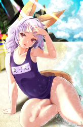 Rule 34 | 1girl, adjusting hair, animal ears, arm support, arm up, armpits, beach, blue one-piece swimsuit, braid, cloud, commentary request, day, dog ears, dog tail, elin, hair intakes, hand on own head, highres, kumehara chiyota, leaning to the side, legs, long hair, looking at viewer, ocean, one-piece swimsuit, open mouth, outdoors, purple eyes, purple hair, school swimsuit, sitting, sky, smile, solo, swimsuit, tail, tera online, thick thighs, thighs, twin braids, twintails, wide hips