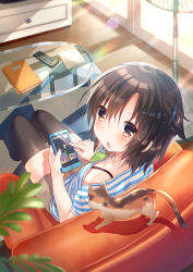 Rule 34 | 1girl, animal, armchair, bad id, bad pixiv id, bare shoulders, black thighhighs, blurry, blurry background, blush, brown eyes, brown hair, brown shorts, cat, cellphone, chair, chestnut mouth, controller, craytm, depth of field, electric fan, fingernails, glass table, hair between eyes, highres, holding, holding phone, looking at viewer, looking up, on chair, original, parted lips, pen, phone, playing games, remote control, shirt, short hair, short shorts, shorts, sitting, solo, striped clothes, striped shirt, sunlight, table, tetris, thighhighs, wooden floor