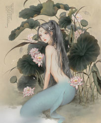 Rule 34 | 1girl, black hair, blue eyes, circlet, completely nude, dadachyo, fins, flower, grass, hair flower, hair ornament, hair over shoulder, jewelry, leaf, leaning to the side, lips, long hair, looking back, lotus, lotus pod, mermaid, monster girl, necklace, nude, on ground, original, ponytail, shore, sitting, solo, water